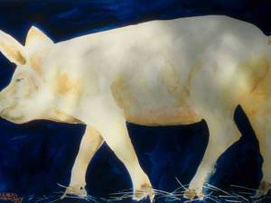 blue-pig-14x22-wp