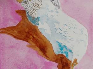 pink-chicken-12x8