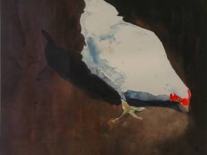 rembrant-the-chicken-11x11-wp