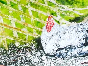 roosting-9.5x17-