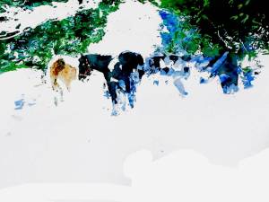 moonlit-horses-2-13-x-16-