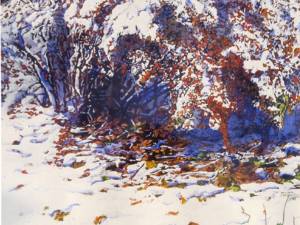 overnight-snowfall-Dale-av-2-30-x-22