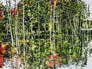 beaver-pond-1-24x18-