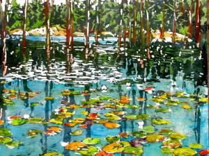beaver-pond-with-lilies-16x16-gp