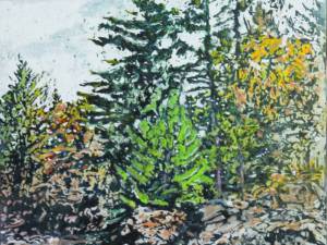 pines n sparkles grundy lake 22x18