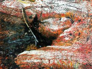 precambrian-rock-pool-25x26-