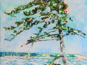 true-north-pine-2058-x-10