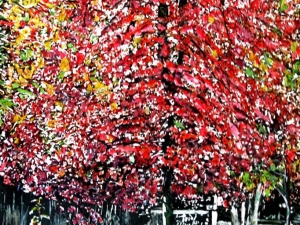 autumn-red-2-36x24-