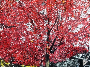 autumn-red-40x26-