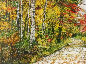 fall-turning-into-air-divine-lake-rd-16x22-