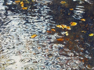october rain saugeen river 11"x14" watercolour on arches paper available at studio 350.