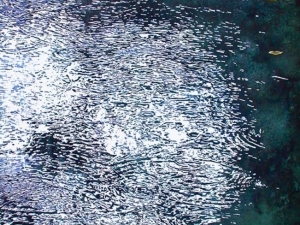 (the beginning of) rain #11 40" x 26" watercolour on arches paper 2700. available