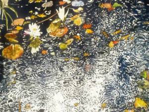 SOLD (the beginning of) RAIN #3 26x40" watercolour on arches paper