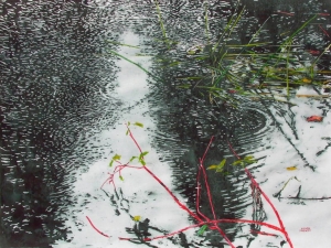 (the beginning of) rain #6 with dogwood 22"x30" watercolour on arches paper available at studio 2300.