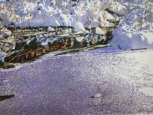 colour-glimpses-in-the-mirror-water-ice-starting-to-form-on-the-pond-22x30-wp