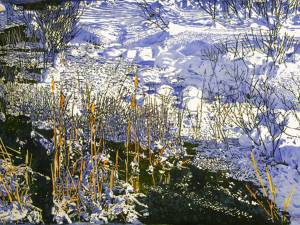 SOLD_daylight-stretching-out-past-morning-across-the-river-26x40-