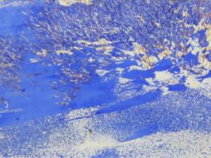 moon-river-morning-shoreline-22x50-
