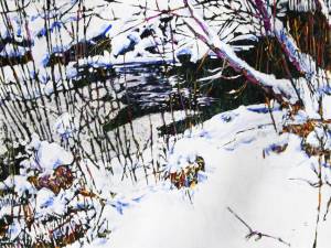 open-cedar-stream-18-20x40-
