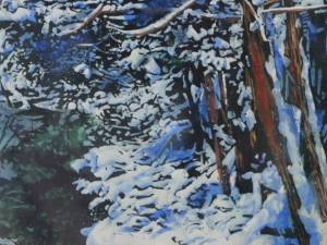 snowcovered-cedars eramosa river 15x11