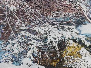 snowcovered-pine-overhanging-an-open-stream-26x48-