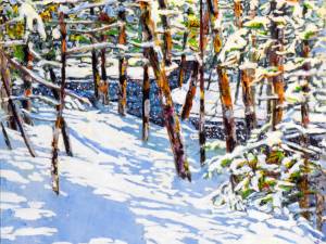sunlit-open-stream-3-24x24-wp