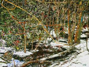 transitions-wet-morning-in-march-31x30.5-