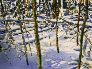 untroubled-existence-and-chaos-in-and-out-of-sunlight-new-snowfall-on-the-beaver-pond-18x24-gpa