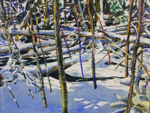 untroubled-existence-and-chaos-in-and-out-of-sunlight-new-snowfall-on-the-open-beaver-pond-18x24-wp