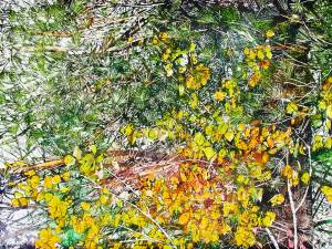 pine-n-aspen-2-26x40