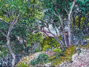 hilltop pines le calanques Cassis provence 22x30" watercolour on arches paper 2300 at studio
