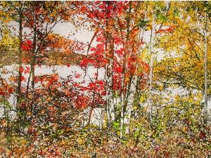 SOLD_1_autumn-13 30x60" watercolour painted directly on gessoed panel