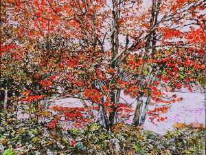 SOLD-1_autumn-pond-31-30x30-