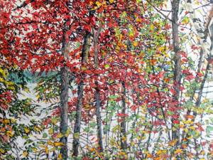 1_autumn-reds-12-mile-lake-30x35-wp
