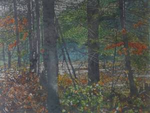 1_morning-mist-beaver-pond-divine-lake-17x22-25x30f-
