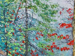 1_overlooking-stubbs-falls-38x22-wp