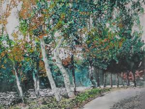 a-screen-of-birches-edging-the-muskoka-river.18x22-