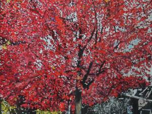 autumn red 40x26