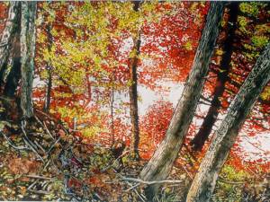 autumn screen black river-26x40