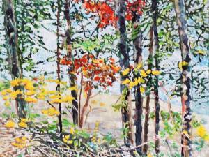 autumn-shoreline-chambers-rd-12-mile-lake-16x16-wp