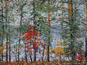 SOLD northern lake 5 26x40-WP