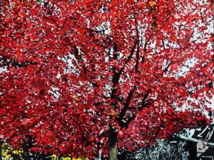 sold-autumn-red-40x26-