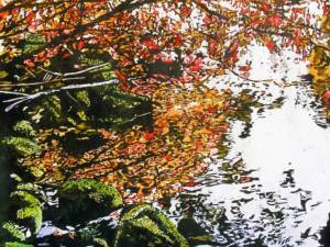 something nothing raspberry-ruby-tangles-glorying-the-moss-covered-rocky-shoulderd-edges-of-a-creek-emptyng-into-the-saugeen-river-30x22-2-wp