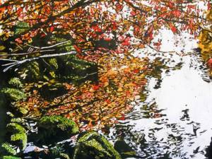 something-nothing-raspberry-ruby-tangles-glorying-the-moss-covered-shoulderd-edges-of-a-creek-1-30x22-2