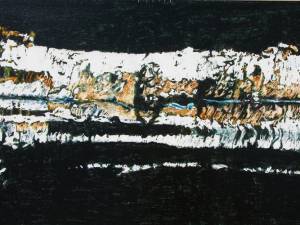 SOLD_birch-n-reflection-11-12x24-wp