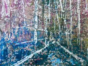 1_birch-pond-troutspawn-rd-36x24-