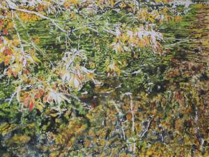 1_branches-dipping-into-the-stream-22x30-
