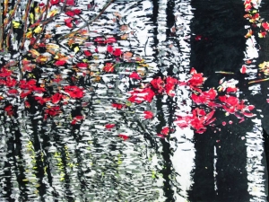 1_red-leaves-floating-thru-autumn-24x48-