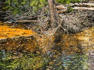 1_shallow-summer-stream-22x30-