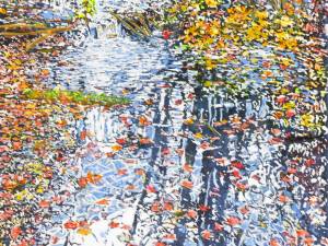1_stream-running-thru-autumn-g-bay-rd-22x22-