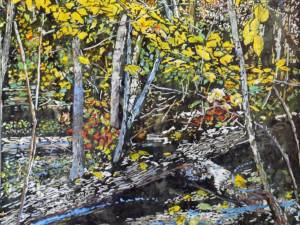 SOLD_pond-full-of-floating-autumn-30x22-